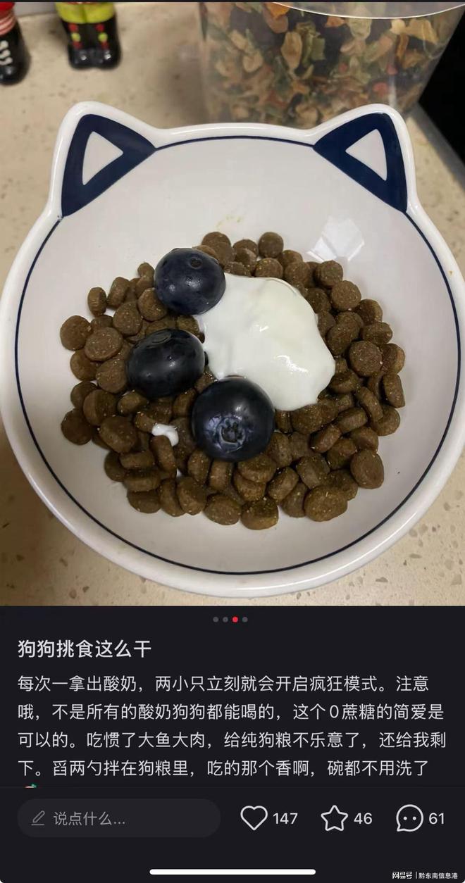 净配方”撬动萌宠经济与母婴信任双赛道AG真人游戏第一品牌简爱酸奶以“纯(图3)