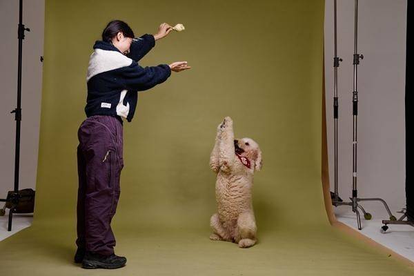 物“逐梦演艺圈”AG真人他们带动(图1)