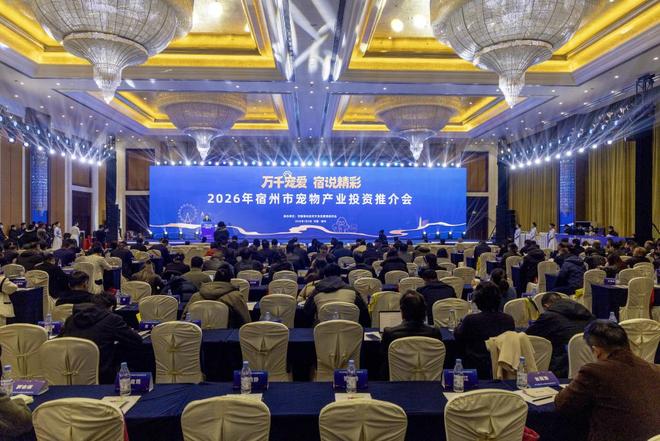 资推介会目标打造长三角宠物经济发展新高地AG真人百家家乐app宿州召开宠物产业投(图1)