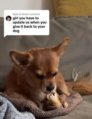 崩！毛孩子偷偷塞了件东西全网都被暖哭了…AG真人百家家乐平台出差打开行李箱直接泪(图3)