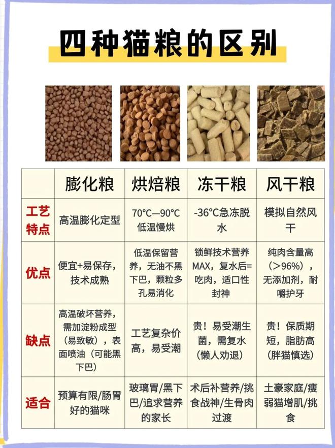 吃上了鲜食 Flywheel飞未AG真人还在吃预制菜的人让宠物(图12)