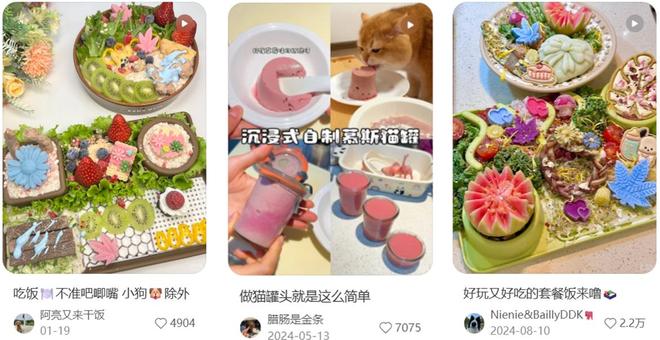 吃上了鲜食 Flywheel飞未AG真人还在吃预制菜的人让宠物(图11)